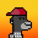 MonkeyWifhat1625