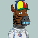 ZESTYZEBRA2229