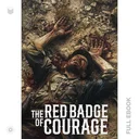 RedBadgeOfCourage002