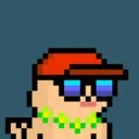 pixel seal 2580