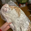 CATBAG