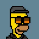 HomerPunks6395