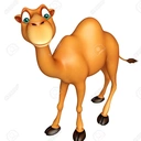 Camel