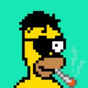 HomerPunks1036
