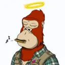 ChilledKong1396