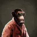adapeD?sirRoberts