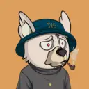 SavageBears2996