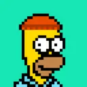HomerPunks9295