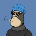 ChilledKong8530