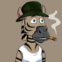 ZESTYZEBRA...