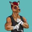 kangaroofightsociety#3939