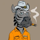 ZESTYZEBRA5225