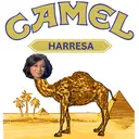 Camel Harr...