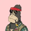ChilledKong1139