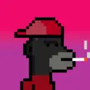 MonkeyWifhat1020