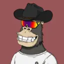 ChilledKong4346