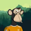 CardanoBoredApe3042