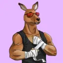kangaroofightsociety#1622