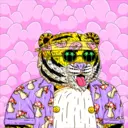 Tigerz0135