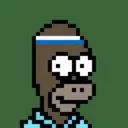 HomerPunks7094