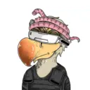 DoDo #1873