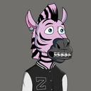 ZESTYZEBRA...