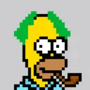 HomerPunks790