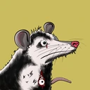 Possum #41...