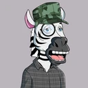 ZESTYZEBRA...