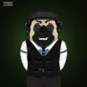 PuggyBlynd...