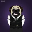 PuggyBlynd...