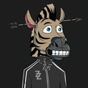 ZESTYZEBRA...