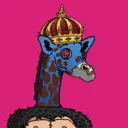 GenuineGiraffe_1699