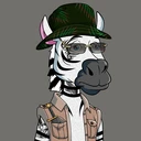 ZESTYZEBRA...