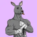 kangaroofi...