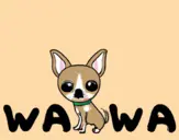 WAWA