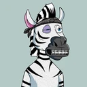 ZESTYZEBRA...