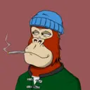 ChilledKong5710