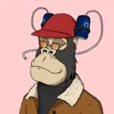 ChilledKong8336