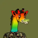 GenuineGiraffe_1382