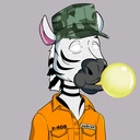 ZESTYZEBRA4909