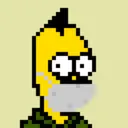 HomerPunks8564