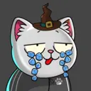 crycat1334