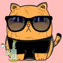 CannaCat93...