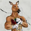 kangaroofightsociety#1255