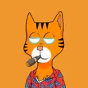 BossCatRocketClub2428