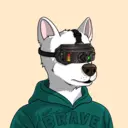 Brave Dog #2184