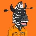 ZESTYZEBRA2701