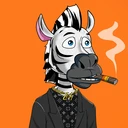 ZESTYZEBRA5172