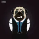 PuggyBlynd...